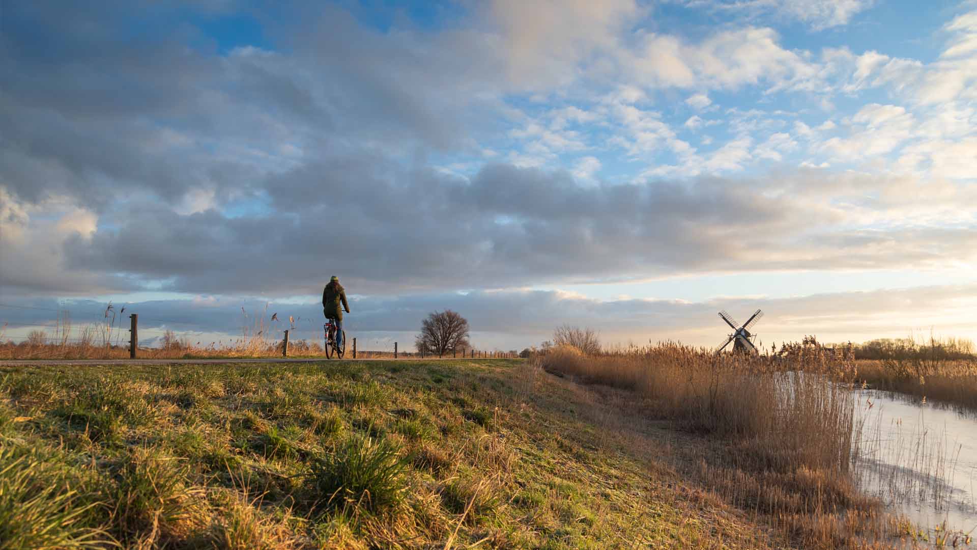Cycling in Groningen (Province)
